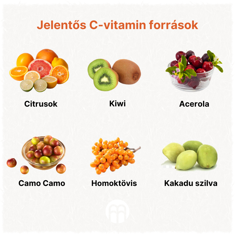 (Maďarština) Významné zdroje vitamínu C